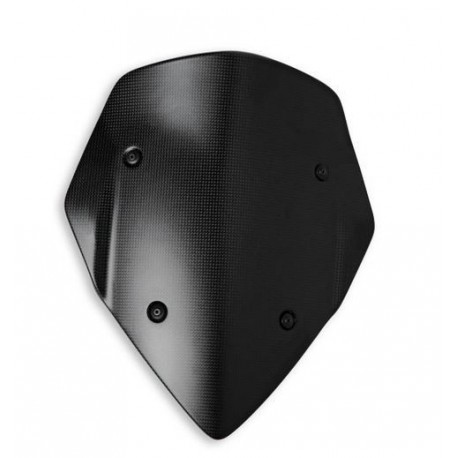 Protector Frontal Carbono 