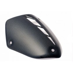 Monster 821 exhaust carbon cover