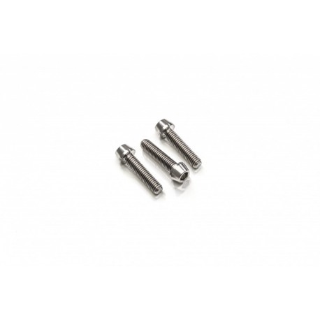 Titanium upper triple clamp screws 
