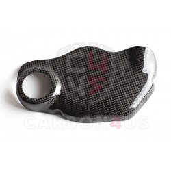 Ducati Carbon Engine cover