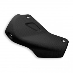 Carbon heat guard for Monster 1200R