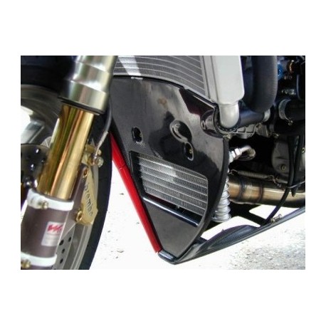 filtro protetor triangular Ducati 998