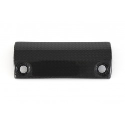Dashboard guard in carbon