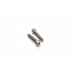 Set of titanium screws for master cylinder flange