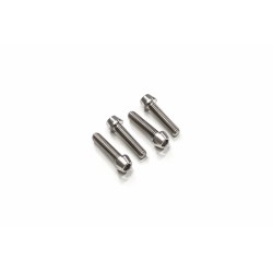 Lower triple clamp titanium screw kit