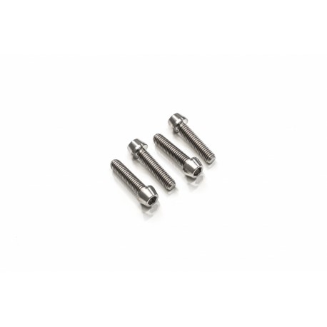 Titanium screw kit triple clamp bottom