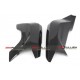PROTECTION BRAS CARBONE 899-959 PANIGALE