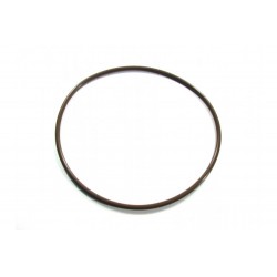 Fuel pump flange O-Ring CA-Cycleworks