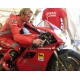 Fogarty front fender in carbon for Ducati