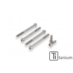 CNC Racing titanium screws for dry clutch cover
