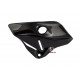 Expansion tank carbon guard for Ducati monster 1200-821