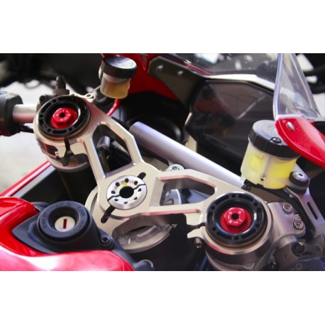 AEM Factory Ducati Panigale upper clamp