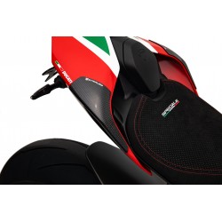 Strauss carbon tail sliders for Ducati V4