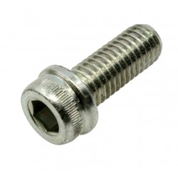 Original screw for rare brake caliper 77157238B