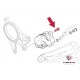 Ducati Original screw for rare brake caliper