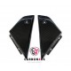Carbon frame side protector kit Ducati Scrambler 1100