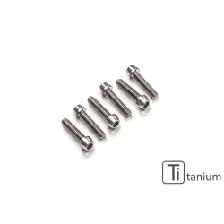 Titanium bolt kit for Panigale V4R clutch cover