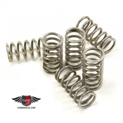 Stainless steel springs for dry clutch