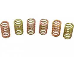 Stainless steel springs for dry clutch