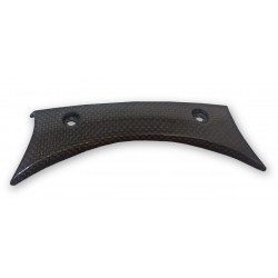 Monster S4 Carbon horn protector