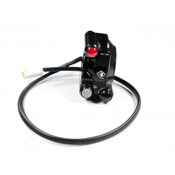 Panigale V2 Racing switch control - right hand