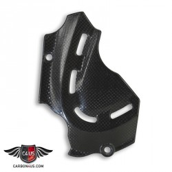 Protection psb carbone pour Ducati Monster 696-796-1100