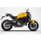 Zard Racing Exhaust Carbon Ducati Monster 821 2018-2020