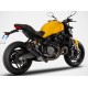Racing Zard Carbon Ducati Monster 821 2018-2020