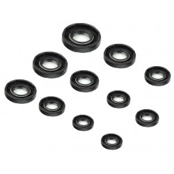 Centauro seal kit for 916/944 engines