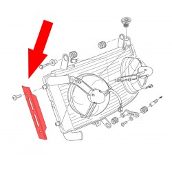 Protezione radiator OEM Ducati Monster S4R Testastretta