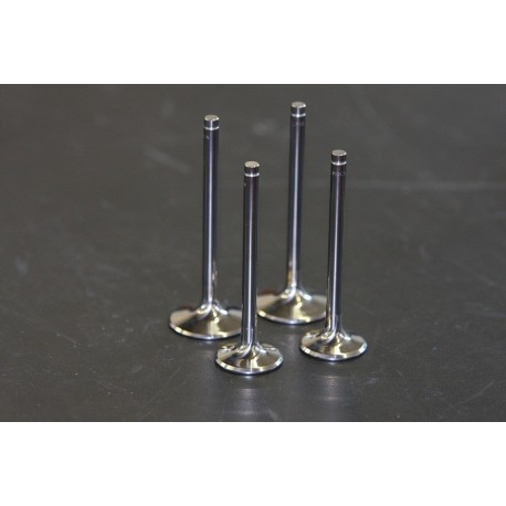 NCR 848 titanium valves