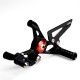 Ducati Panigale AEM Factory rearsets