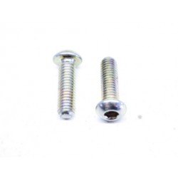 Original TBEI M6X20 screw. 77510211A