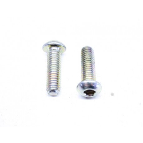 Original TBEI M6X20 screw. 77510211A