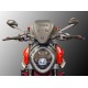 Cupolino touring Ducabike Streetfighter V2 CUP21