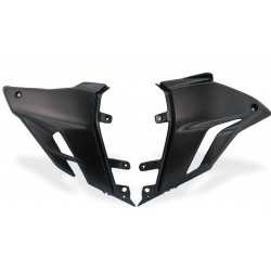 Ducati CARBON4US Streetfighter V4 carbon belly pan