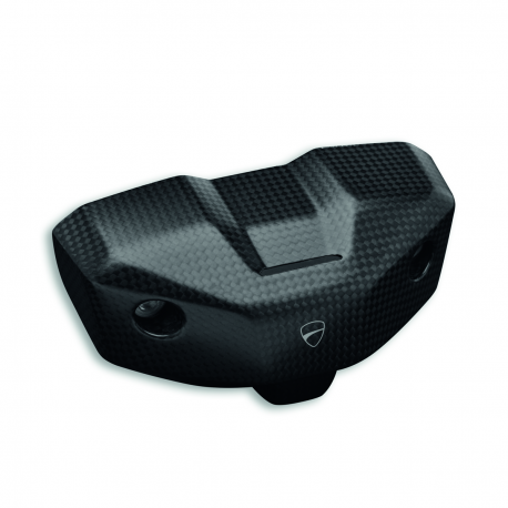 Carbon Dashboard cover Ducati Streetfihgter V4