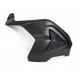 Ducati Streetfighter V2 Swingarm carbon cover 96981541AA