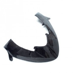 Carbon front guard for Ducati Streetfighter 848-1098
