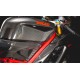Kit of Carbon Dry side panels for Ducati Superbike.