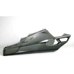 GP Style Belly pan and lower fairing
