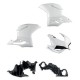 Ducati Performance nose and side fairing kit for Ducati Panigale 1199