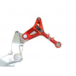 Ducabike rear link suspension for Panigale