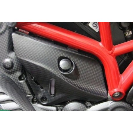 Protection vase d'expansion en carbone - Ducati Monster 1200-821