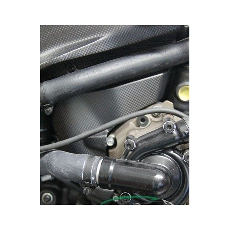 Protector Panel de Motor en Carbono