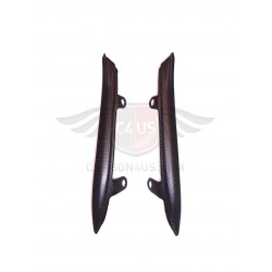 Under seat carbon guard for Ducati Monster 821 and 1200