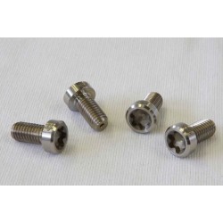 Titanium screws kit for original footpegs