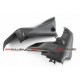 Ducati Monster 821/1200 Fullsix carbon Side fairing kit