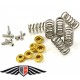 EVR caps, screws and springs kit for Ducati dry clutch.