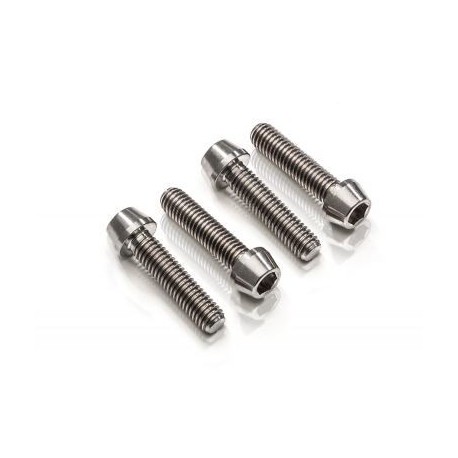Triple clamp titanium screws kit